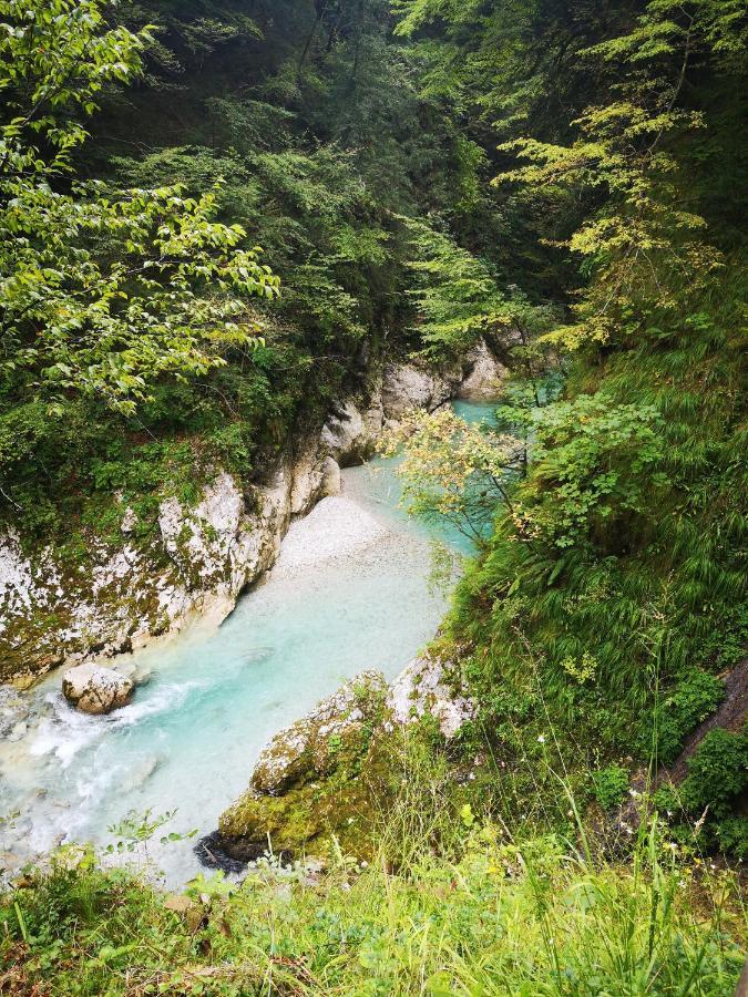 Appartamento Apartma Tija Tolmin Esterno foto